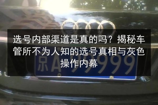 选号内部渠道是真的吗？揭秘车管所不为人知的选号真相与灰色操作内幕 第2张
