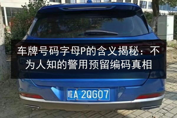 车牌号码字母P的含义揭秘:不为人知的警用预留编码真相 第1张 车牌号码字母P的含义揭秘:不为人知的警用预留编码真相 第1张