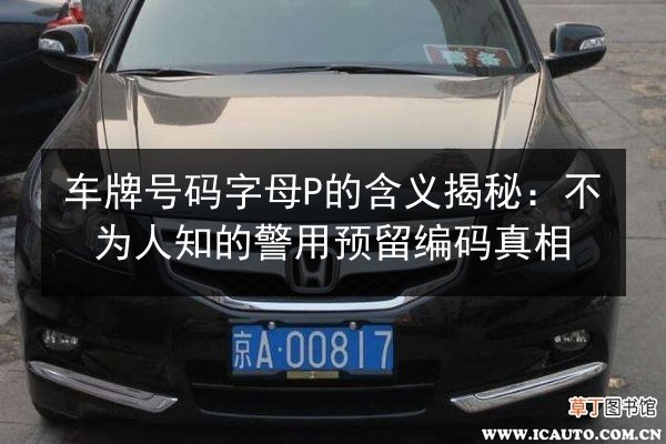 车牌号码字母P的含义揭秘:不为人知的警用预留编码真相 第2张 车牌号码字母P的含义揭秘:不为人知的警用预留编码真相 第2张