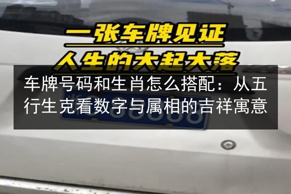 车牌号码和生肖怎么搭配：从五行生克看数字与属相的吉祥寓意 第3张
