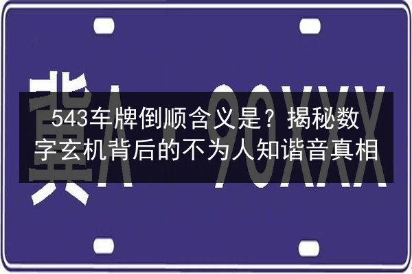 543车牌倒顺含义是？揭秘数字玄机背后的不为人知谐音真相 第2张