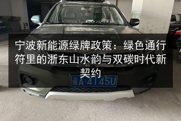 宁波新能源绿牌政策:绿色通行符里的浙东山水韵与双碳时代新契约 第2张 宁波新能源绿牌政策:绿色通行符里的浙东山水韵与双碳时代新契约 第2张