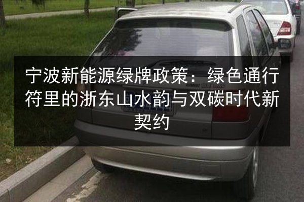 宁波新能源绿牌政策:绿色通行符里的浙东山水韵与双碳时代新契约 第3张 宁波新能源绿牌政策:绿色通行符里的浙东山水韵与双碳时代新契约 第3张