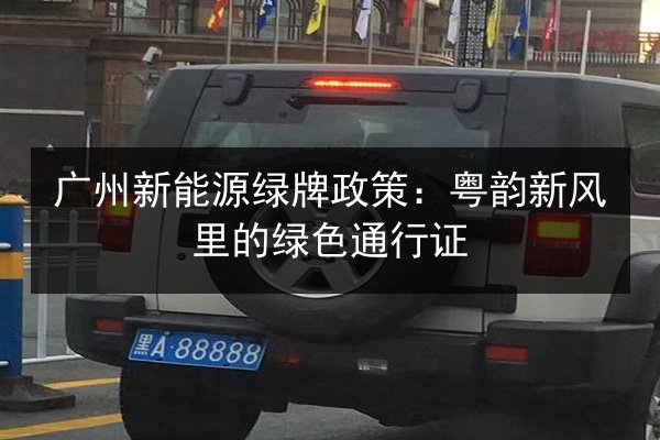 广州新能源绿牌政策：粤韵新风里的绿色通行证