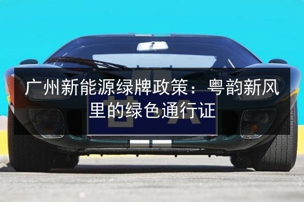 广州新能源绿牌政策:粤韵新风里的绿色通行证 第2张 广州新能源绿牌政策:粤韵新风里的绿色通行证 第2张