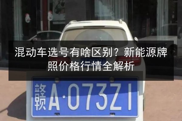 混动车选号有啥区别?新能源牌照价格行情全解析 第2张 混动车选号有啥区别?新能源牌照价格行情全解析 第2张