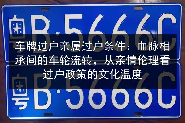 车牌过户亲属过户条件：血脉相承间的车轮流转，从亲情伦理看过户政策的文化温度 第3张