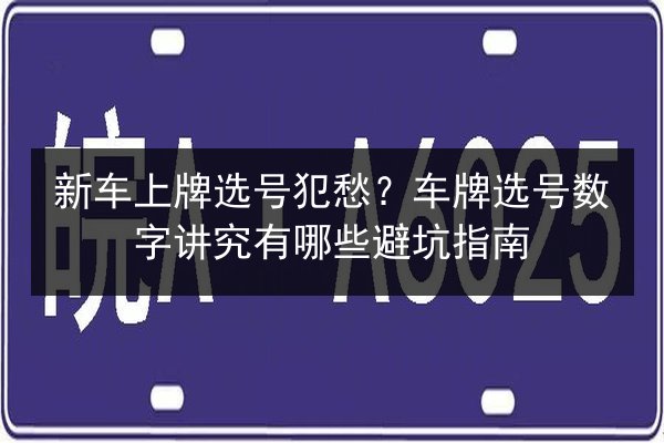 新车上牌选号犯愁?车牌选号数字讲究有哪些避坑指南 第2张 新车上牌选号犯愁?车牌选号数字讲究有哪些避坑指南 第2张