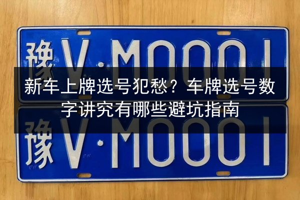 新车上牌选号犯愁?车牌选号数字讲究有哪些避坑指南 第3张 新车上牌选号犯愁?车牌选号数字讲究有哪些避坑指南 第3张
