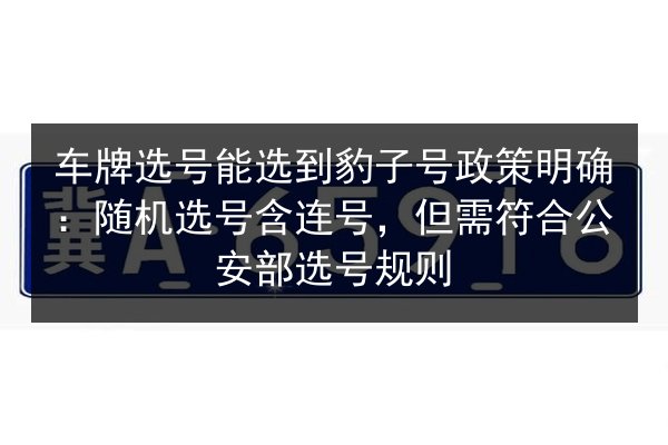 车牌选号能选到豹子号政策明确:随机选号含连号,但需符合公安部选号规则 第2张 车牌选号能选到豹子号政策明确:随机选号含连号,但需符合公安部选号规则 第2张