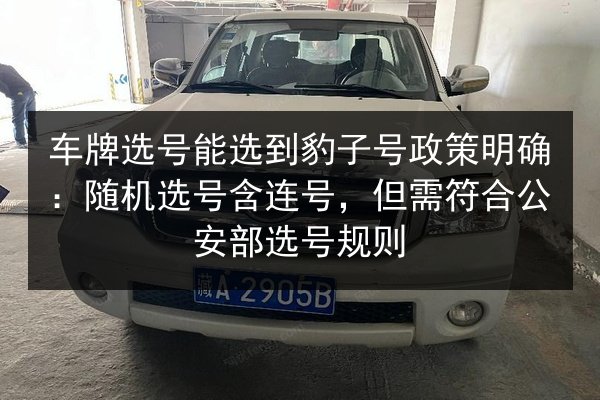 车牌选号能选到豹子号政策明确:随机选号含连号,但需符合公安部选号规则 第3张 车牌选号能选到豹子号政策明确:随机选号含连号,但需符合公安部选号规则 第3张