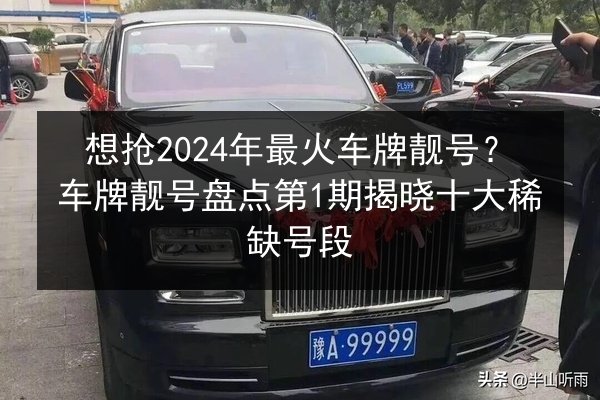 想抢2024年最火车牌靓号？车牌靓号盘点第1期揭晓十大稀缺号段 第3张