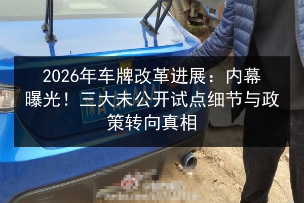 2026年车牌改革进展：内幕曝光！三大未公开试点细节与政策转向真相 第2张