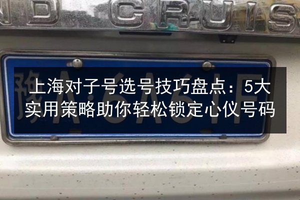 上海对子号选号技巧盘点：5大实用策略助你轻松锁定心仪号码 第2张