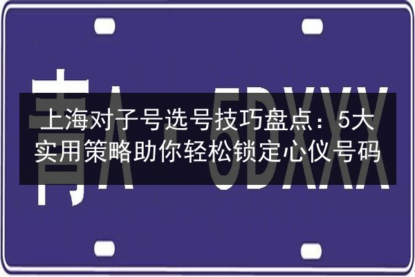 上海对子号选号技巧盘点：5大实用策略助你轻松锁定心仪号码 第3张