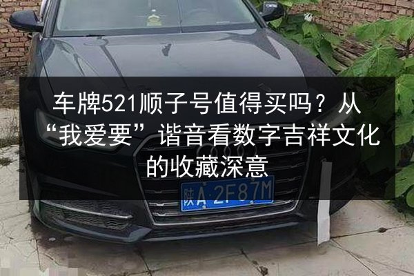 车牌521顺子号值得买吗？从“我爱要”谐音看数字吉祥文化的收藏深意 第2张