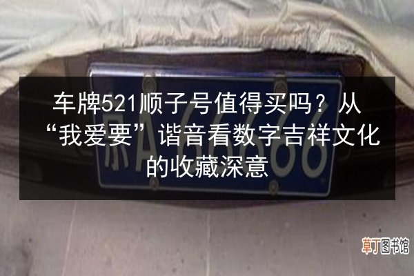 车牌521顺子号值得买吗？从“我爱要”谐音看数字吉祥文化的收藏深意 第3张