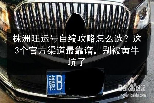 株洲旺运号自编攻略怎么选?这3个官方渠道最靠谱,别被黄牛坑了 第1张 株洲旺运号自编攻略怎么选?这3个官方渠道最靠谱,别被黄牛坑了 第1张