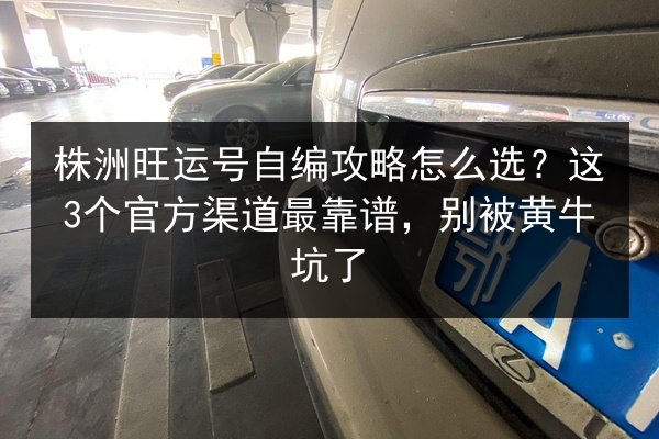 株洲旺运号自编攻略怎么选?这3个官方渠道最靠谱,别被黄牛坑了 第2张 株洲旺运号自编攻略怎么选?这3个官方渠道最靠谱,别被黄牛坑了 第2张