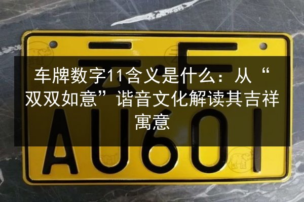 车牌数字11含义是什么:从“双双如意”谐音文化解读其吉祥寓意 第2张 车牌数字11含义是什么:从“双双如意”谐音文化解读其吉祥寓意 第2张
