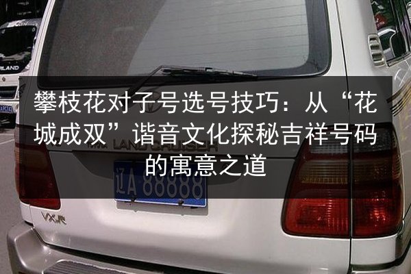 攀枝花对子号选号技巧：从“花城成双”谐音文化探秘吉祥号码的寓意之道 第3张