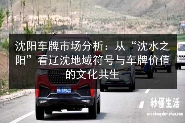 沈阳车牌市场分析：从“沈水之阳”看辽沈地域符号与车牌价值的文化共生 第2张