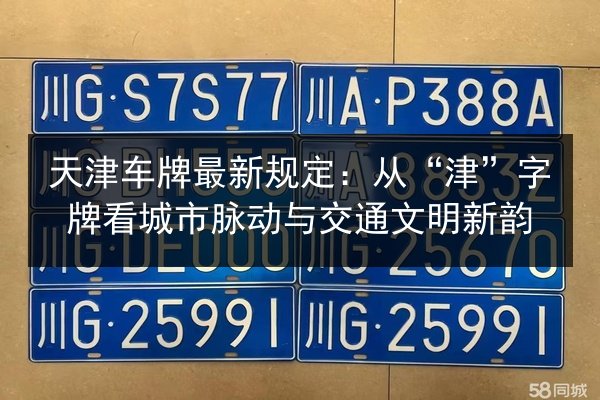 天津车牌最新规定：从“津”字牌看城市脉动与交通文明新韵 第2张