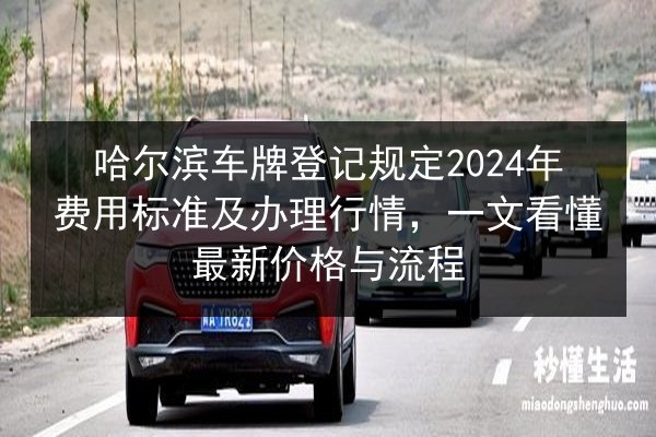 哈尔滨车牌登记规定2024年费用标准及办理行情，一文看懂最新价格与流程 第2张