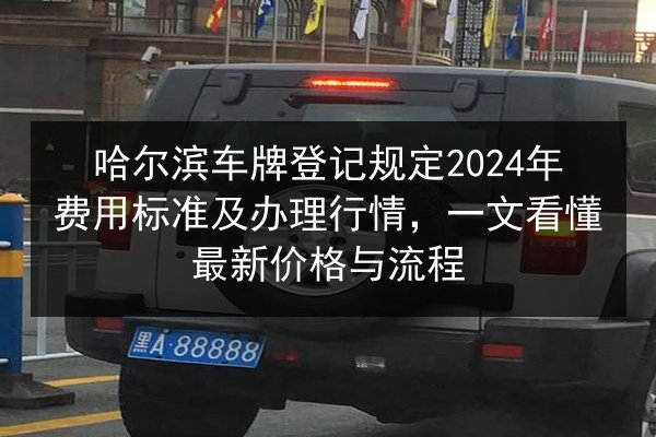 哈尔滨车牌登记规定2024年费用标准及办理行情，一文看懂最新价格与流程 第3张