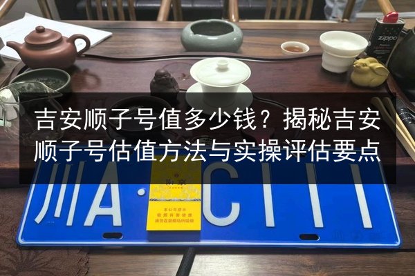 吉安顺子号值多少钱?揭秘吉安顺子号估值方法与实操评估要点 第3张 吉安顺子号值多少钱?揭秘吉安顺子号估值方法与实操评估要点 第3张