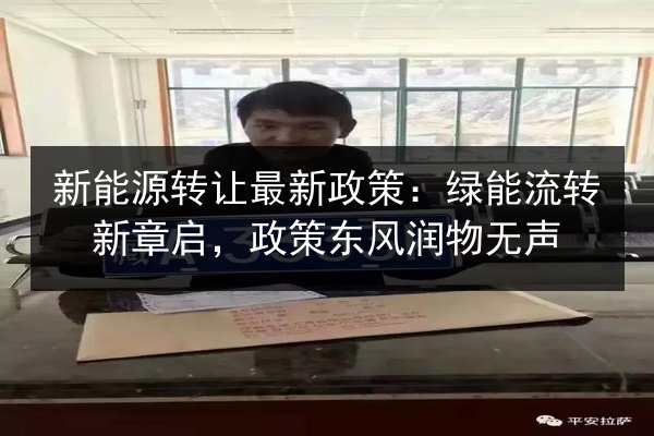新能源转让最新政策：绿能流转新章启，政策东风润物无声 第2张