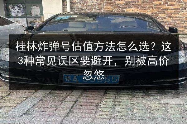 桂林炸弹号估值方法怎么选？这3种常见误区要避开，别被高价忽悠 第3张