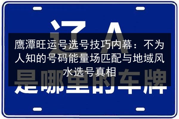 鹰潭旺运号选号技巧内幕：不为人知的号码能量场匹配与地域风水选号真相 第2张