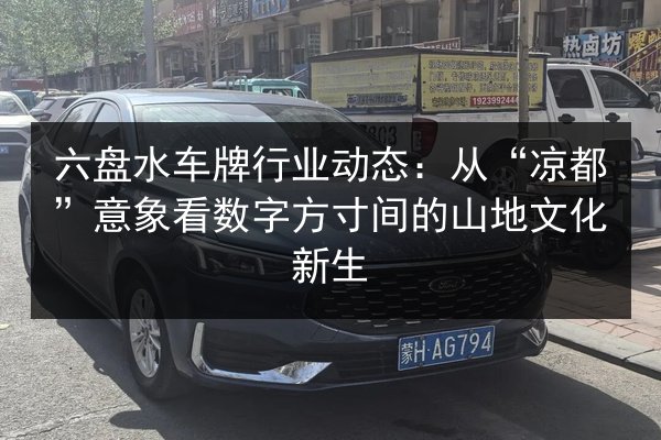六盘水车牌行业动态：从“凉都”意象看数字方寸间的山地文化新生 第2张