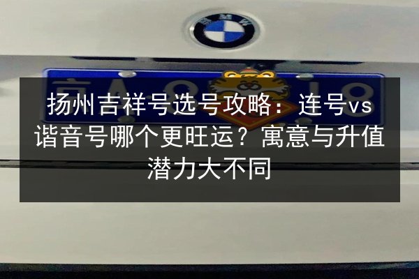 扬州吉祥号选号攻略：连号vs谐音号哪个更旺运？寓意与升值潜力大不同 第2张