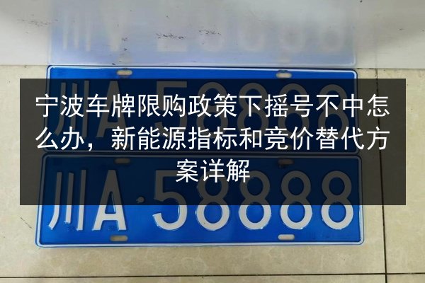 宁波车牌限购政策下摇号不中怎么办,新能源指标和竞价替代方案详解 第3张 宁波车牌限购政策下摇号不中怎么办,新能源指标和竞价替代方案详解 第3张