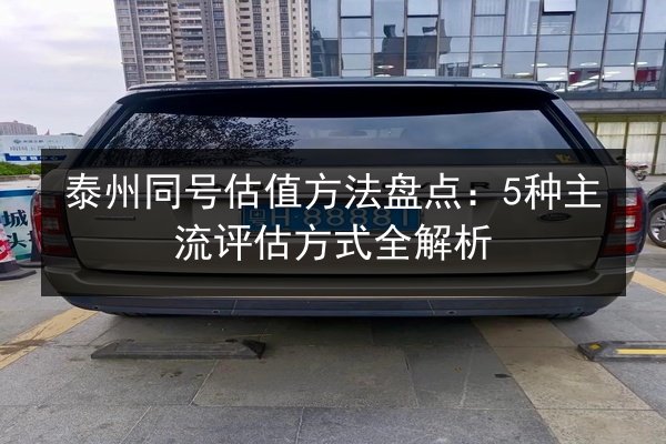 泰州同号估值方法盘点：5种主流评估方式全解析 第2张