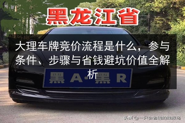 大理车牌竞价流程是什么,参与条件、步骤与省钱避坑价值全解析 第2张 大理车牌竞价流程是什么,参与条件、步骤与省钱避坑价值全解析 第2张