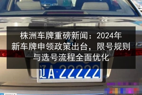 株洲车牌重磅新闻：2024年新车牌申领政策出台，限号规则与选号流程全面优化 第2张