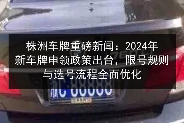株洲车牌重磅新闻：2024年新车牌申领政策出台，限号规则与选号流程全面优化 第3张