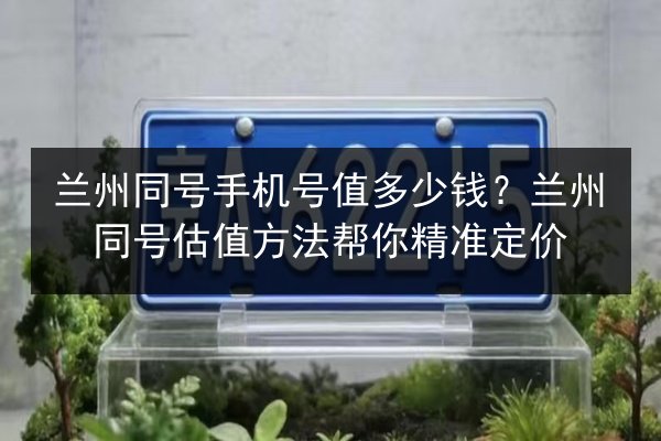 兰州同号手机号值多少钱?兰州同号估值方法帮你精准定价 第3张 兰州同号手机号值多少钱?兰州同号估值方法帮你精准定价 第3张
