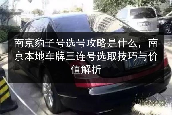 南京豹子号选号攻略是什么，南京本地车牌三连号选取技巧与价值解析