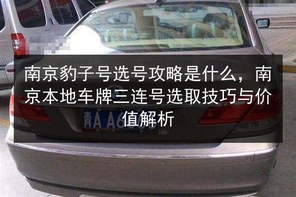 南京豹子号选号攻略是什么,南京本地车牌三连号选取技巧与价值解析 第2张 南京豹子号选号攻略是什么,南京本地车牌三连号选取技巧与价值解析 第2张