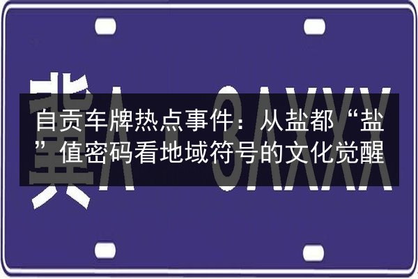 自贡车牌热点事件:从盐都“盐”值密码看地域符号的文化觉醒 第2张 自贡车牌热点事件:从盐都“盐”值密码看地域符号的文化觉醒 第2张