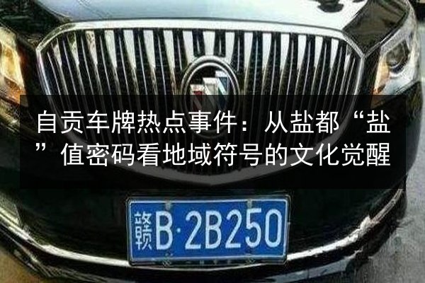 自贡车牌热点事件:从盐都“盐”值密码看地域符号的文化觉醒 第3张 自贡车牌热点事件:从盐都“盐”值密码看地域符号的文化觉醒 第3张