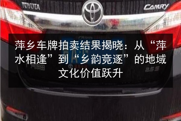 萍乡车牌拍卖结果揭晓：从“萍水相逢”到“乡韵竞逐”的地域文化价值跃升 第2张