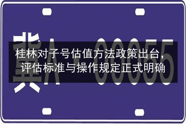 桂林对子号估值方法政策出台，评估标准与操作规定正式明确 第2张
