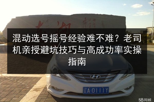 混动选号摇号经验难不难？老司机亲授避坑技巧与高成功率实操指南 第2张