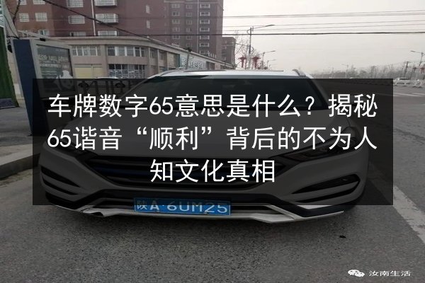 车牌数字65意思是什么？揭秘65谐音“顺利”背后的不为人知文化真相 第3张