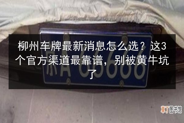 柳州车牌最新消息怎么选？这3个官方渠道最靠谱，别被黄牛坑了 第2张